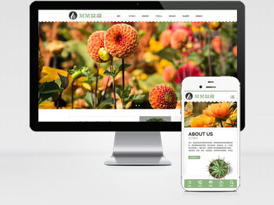 MB72 盆栽租賃花卉盆栽